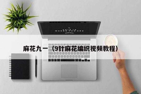 麻花九一（9针麻花编织视频教程）
