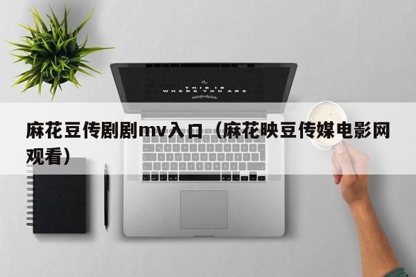 麻花豆传剧剧mv入口（麻花映豆传媒电影网观看）