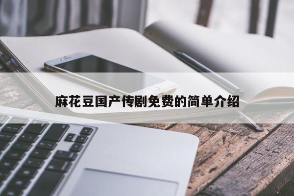 麻花豆国产传剧免费的简单介绍