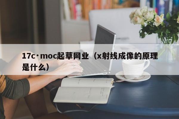 17c·moc起草网业（x射线成像的原理是什么）
